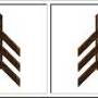 uodev_wooden_fences.jpg