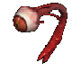 narja_seeker01.gif