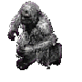 dvir_kalamarr_yeti01.gif